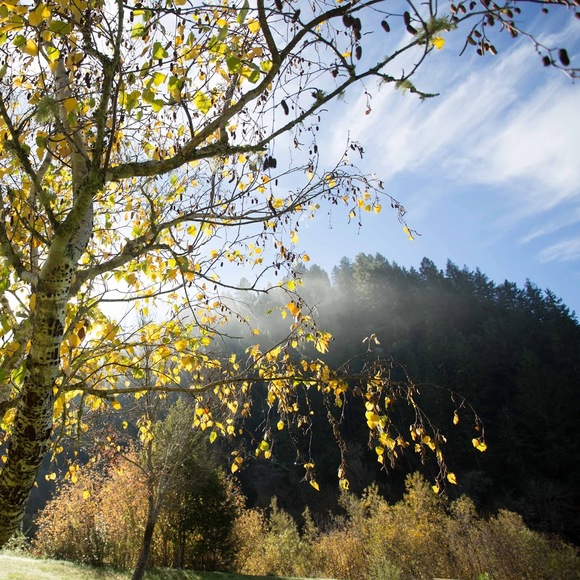 Meet your Posher, Christopher - Picture 1 of 1